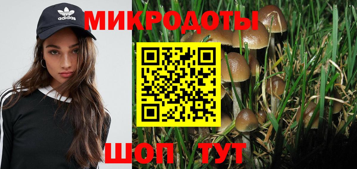 Владимир  Галлюциногенные грибы MAGIC MUSHROOMS  Вход с VPN  Галлюциногенные грибы MAGIC MUSHROOMS 